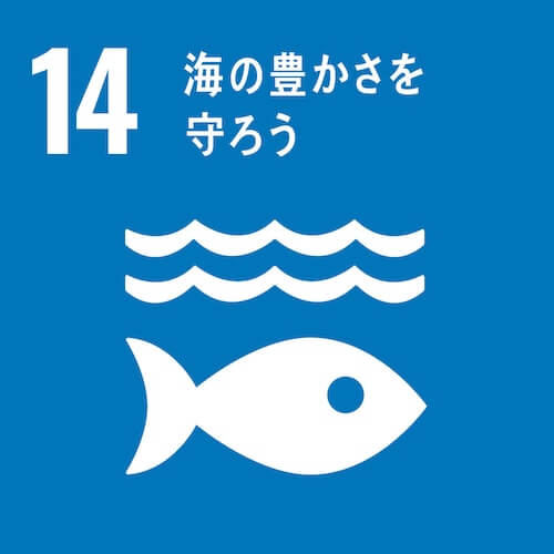 SDGs 目標13 海の豊かさを守ろう