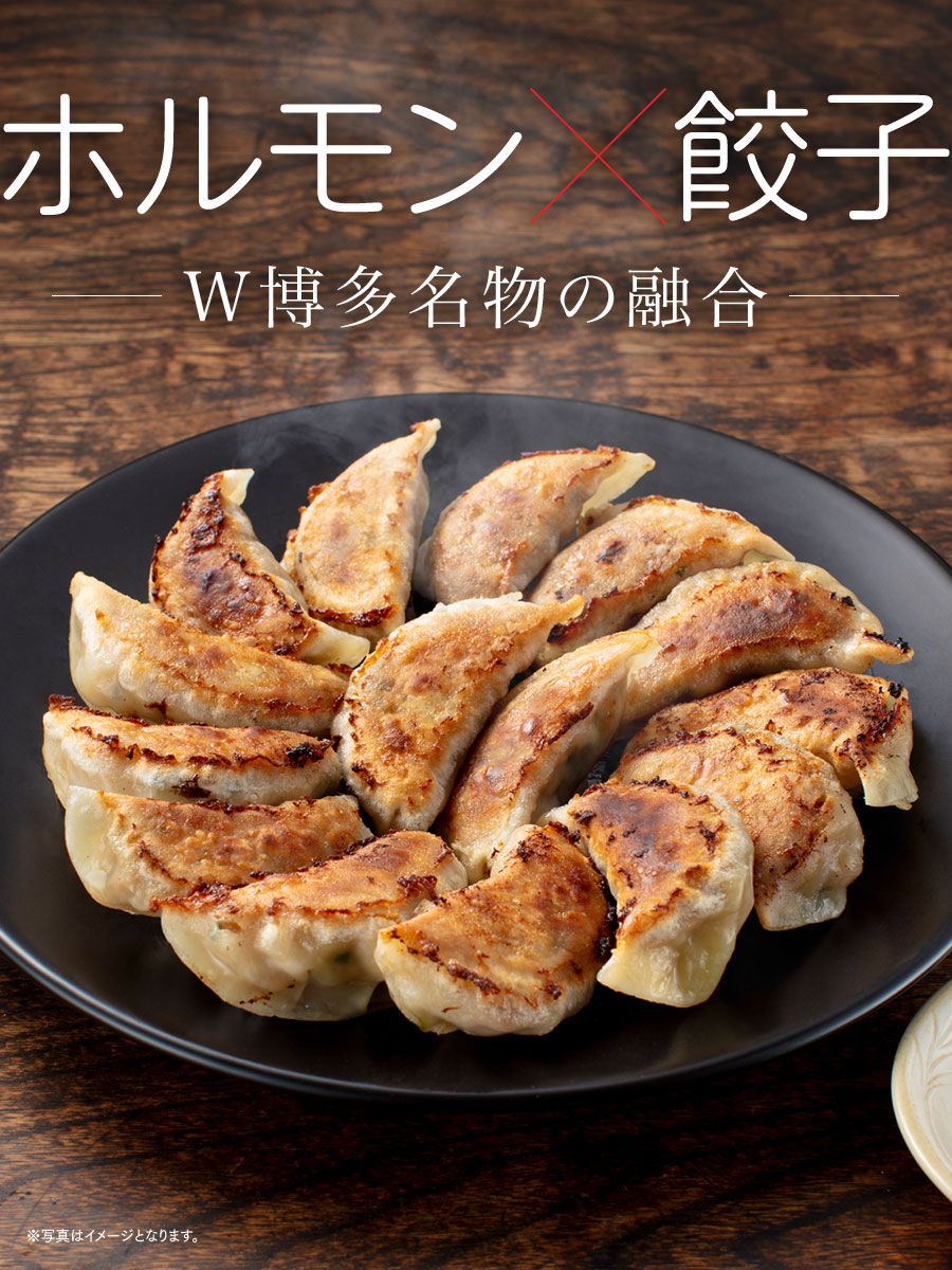 天神ホルモン監修 ホルモン餃子