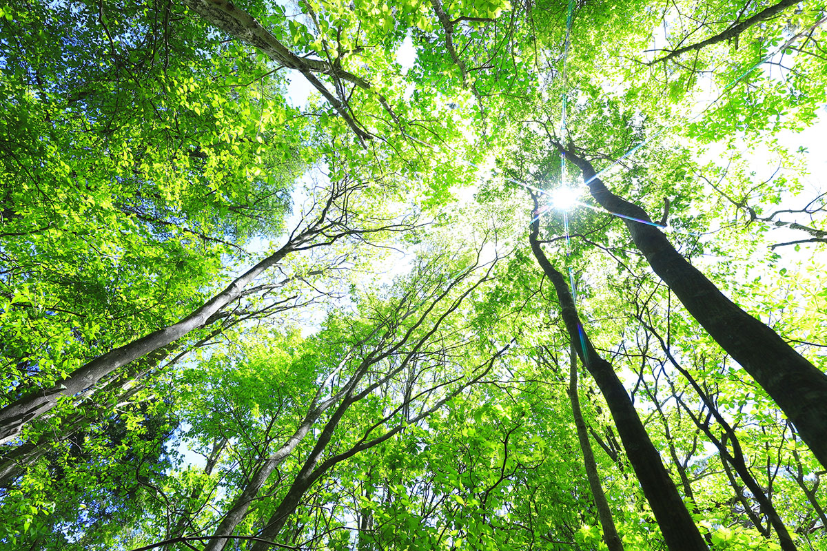 環境にやさしい活動